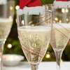 Glasmarkörer 10 st – Tomtemössa Santa – Ginger Ray