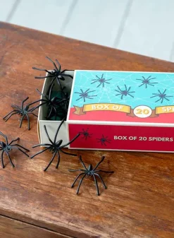 Halloweendekoration – Box of 20 Spiders – Rex London