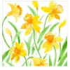 Pappersservett Dinner 40×40 cm – Påskliljor Spring Herald – Caspari