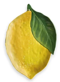 Serveringsfat i melamin Citron 44 cm – Eddingtons