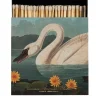 Tändsticksask – American Swan – Archivist