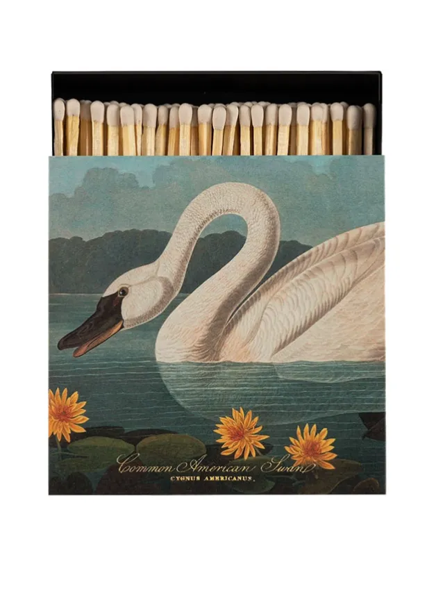 Tändsticksask – American Swan – Archivist